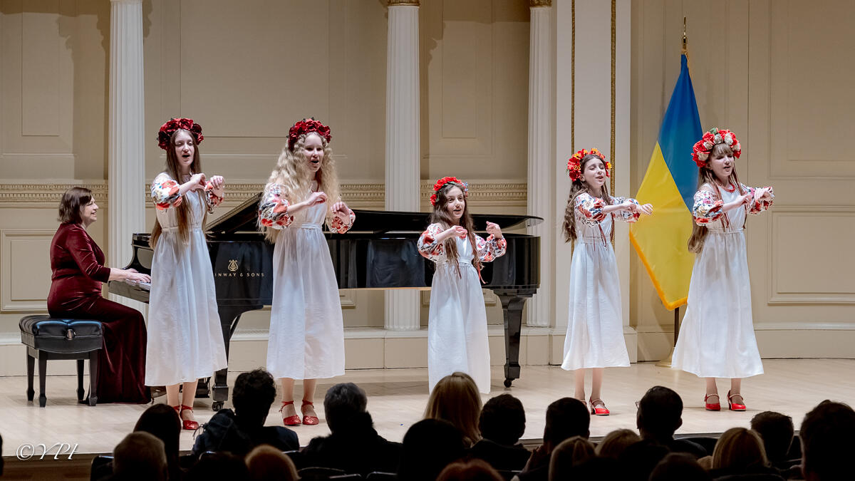 Stellar Voices Stellar Voices